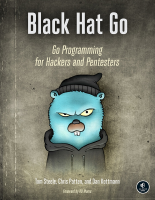 Black Hat Go Go Programming For Hackers and Pentesters.pdf